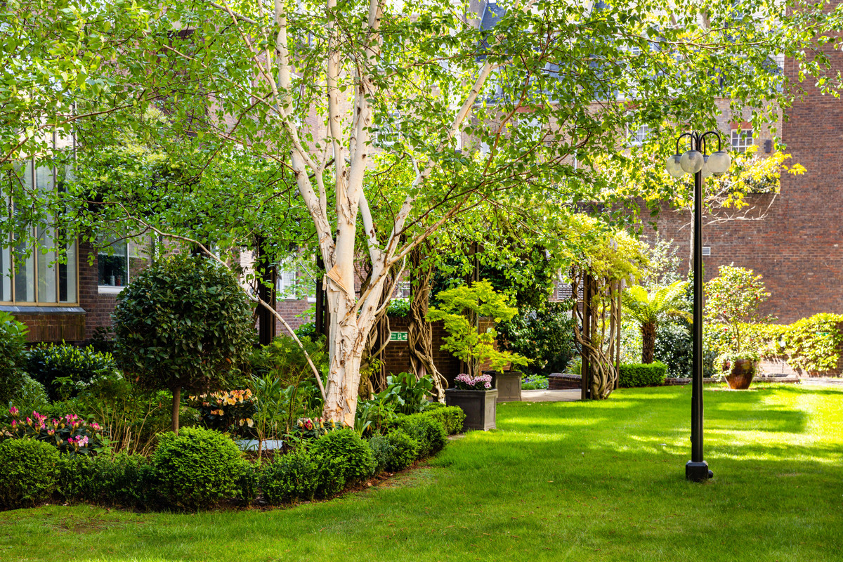 Ebury Street
